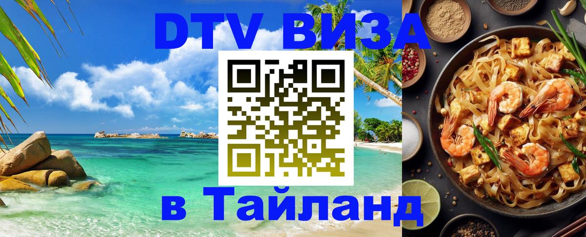 Оформление DTV визы под ключ: стоимость и тарифы, только загранпаспорт - Бишкек  20.11.2025 